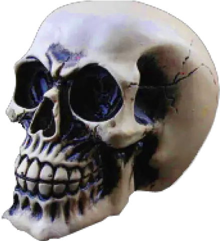 Download Skeleton Head Png Transparent Images Dsstyles Led Skull Skeleton Png Transparent