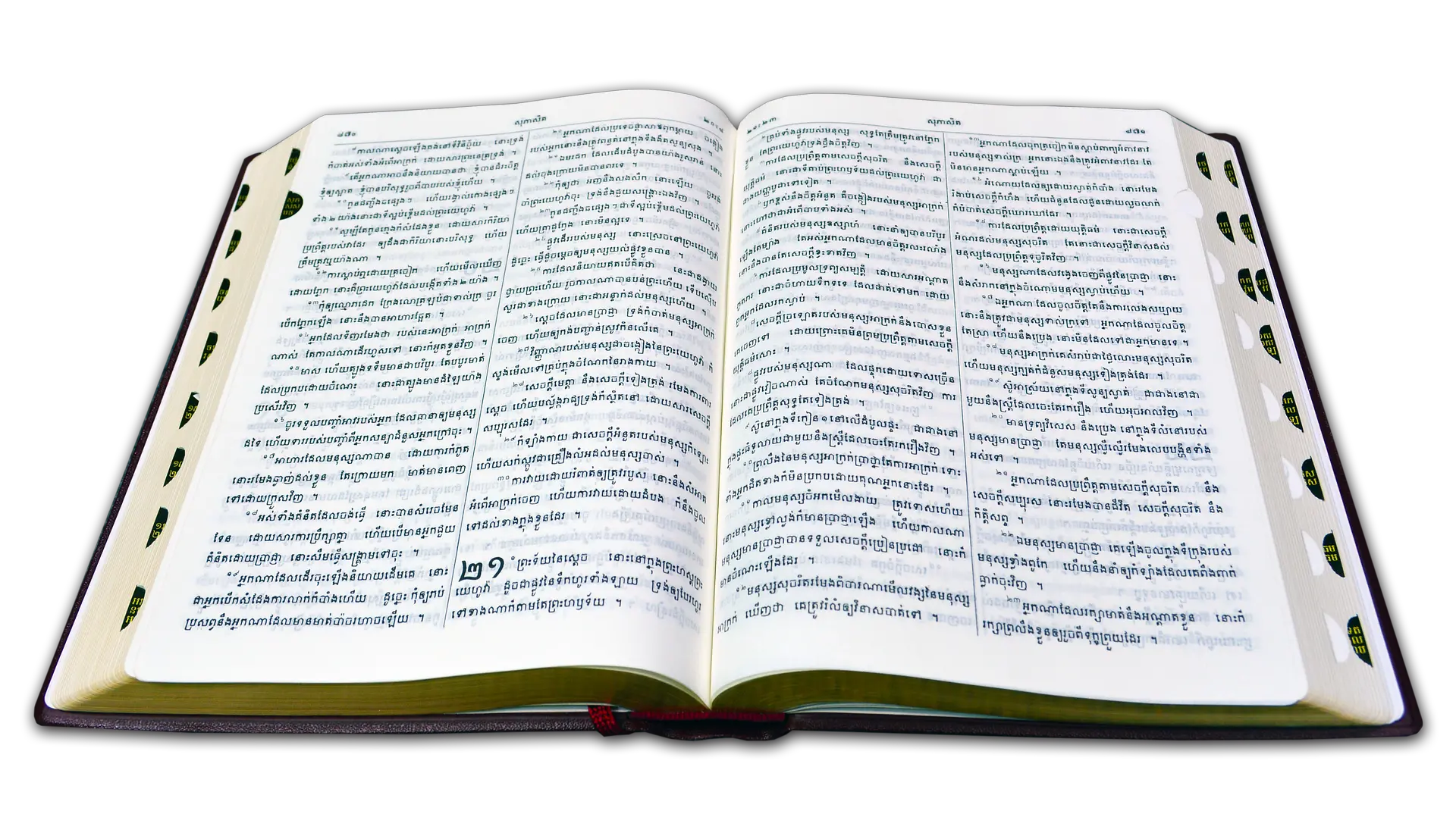 Biblia Png 3 Image The Bible Biblia Png