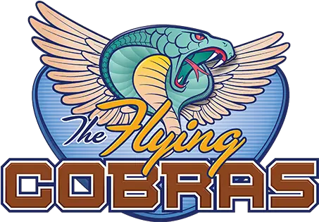 Backwards Roller Coaster The Flying Cobras Carowinds Carowinds Roller Coaster Logos Png Cobra Icon