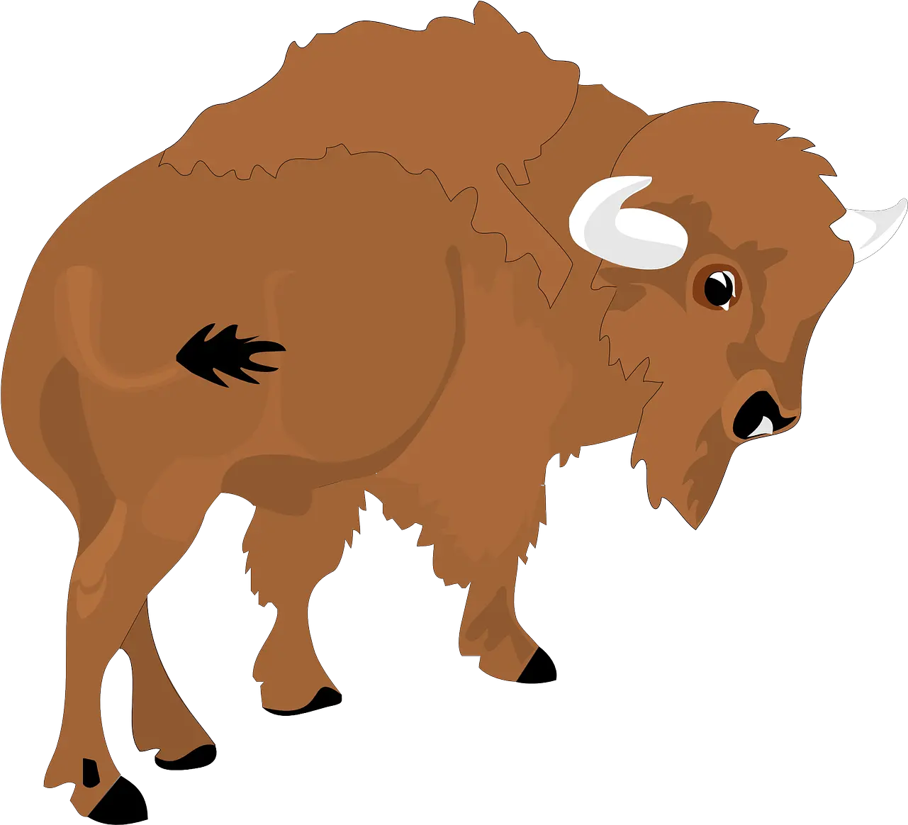 Bison View Large Bison Clipart Png Bison Png