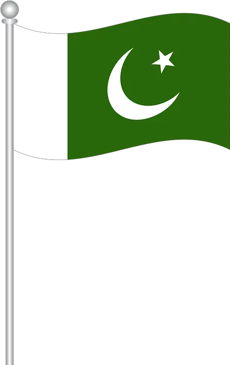 Flag Of Pakistan World Pakistan Flag Clipart Png Nation Flag Icon