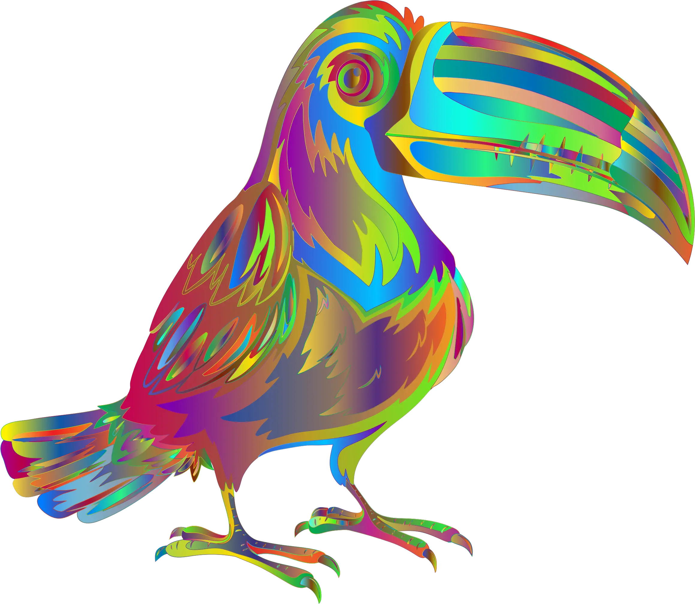 Download Big Image Surreal Transparent Png Toucan Png