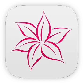 Whimsical Inc Lily Decorative Png Lily Icon