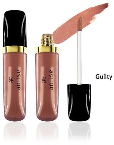 Aniise Pro Matte Metallic Lip Stains Fashion Brand Png Color Icon Metallic Liquid Lipstick