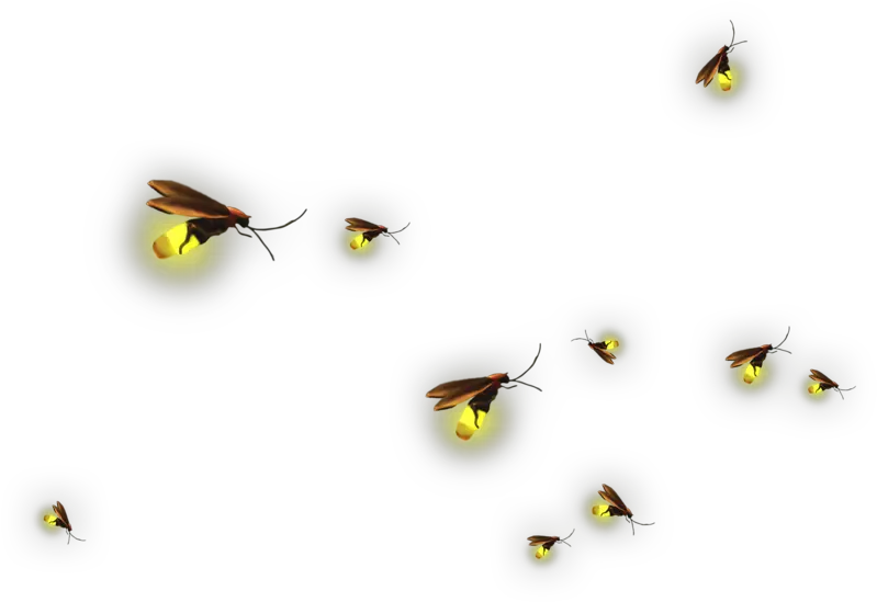 Clip Art Material Transprent Png Free Transparent Background Firefly Png Fireflies Png
