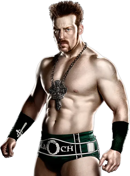 70 Best Christmas List Images Wwe T Sheamus World Heavyweight Champion Png Bobby Roode Png