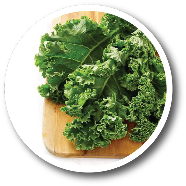 Health Benefits Of Kale Prefer My Kale With A Silent K Png Kale Png