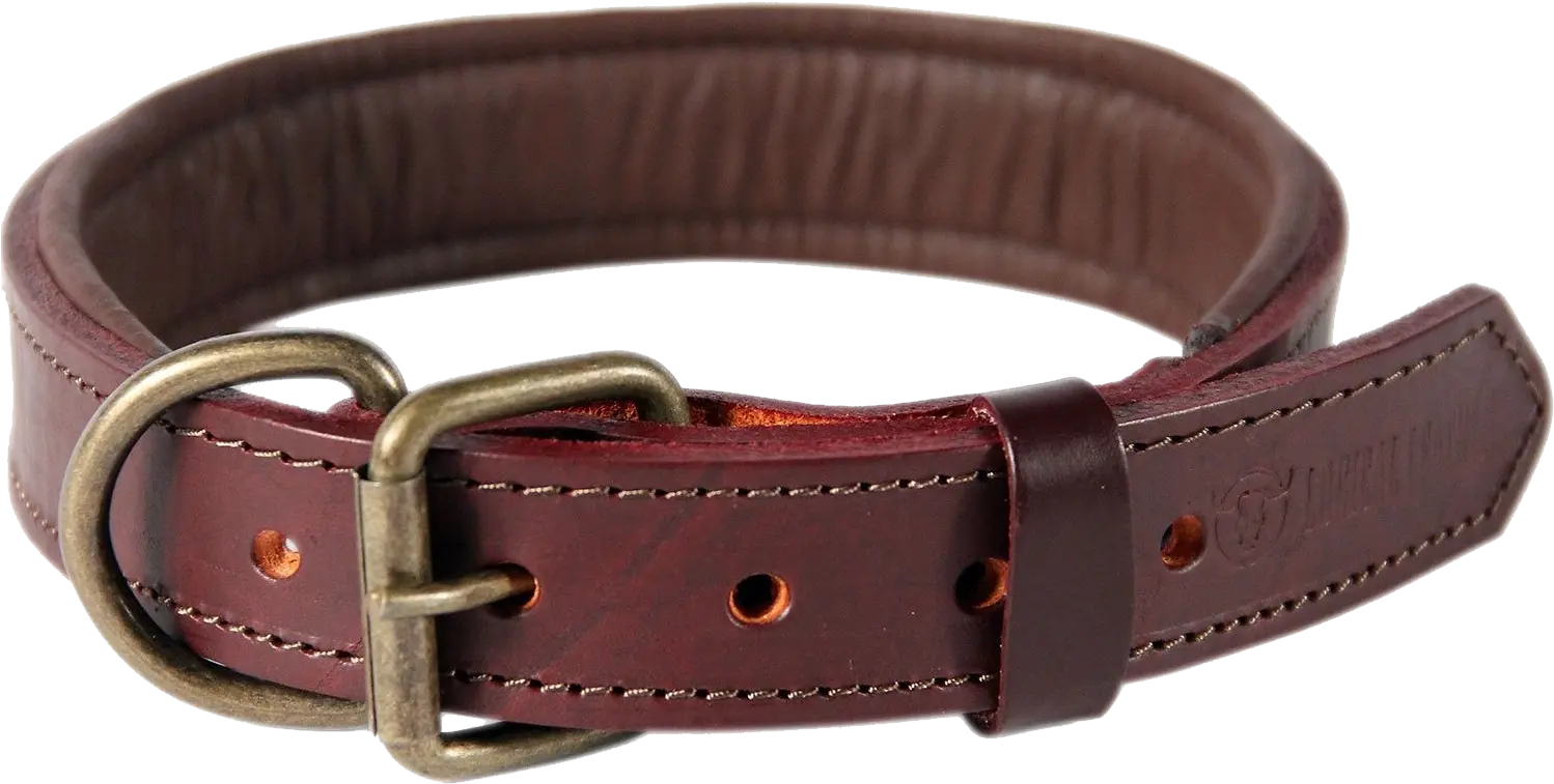 Brown Leather Dog Collar Picture Brown Leather Collars Dog Png Collar Png