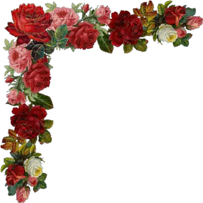 Download Hd Kaz Creations Deco Corner Flowers Colours Rose Flowers For Edits Png Corner Flowers Png