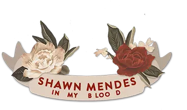 Shawn Mendes Shawn Mendes In My Blood Png Shawn Mendes Png