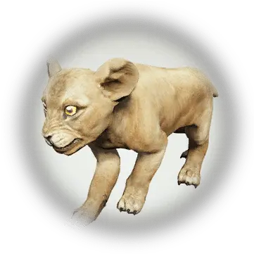 Defeat Pride Of Lions Bdo Codex Bdo Naughty Lion Png Lioness Icon