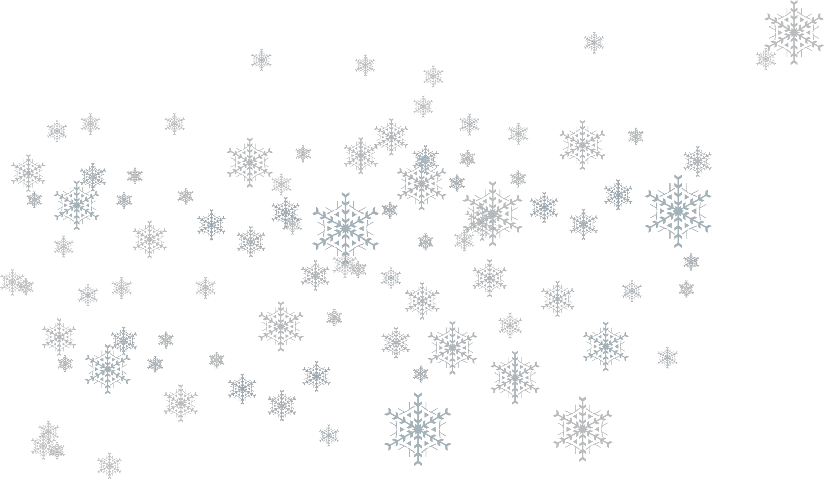 Close Up Snowflake Png