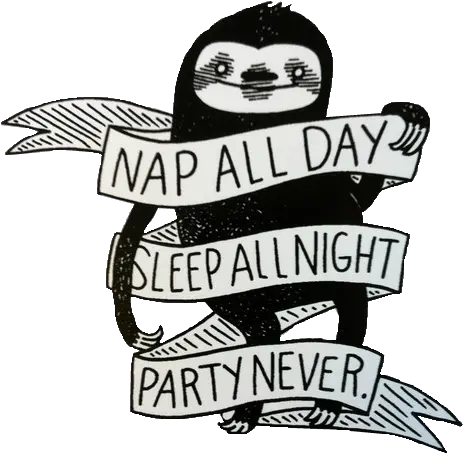 Download Cute Sloths Sloth Transparent Nap All Day Sleep All Night Sloth Png Sloth Transparent