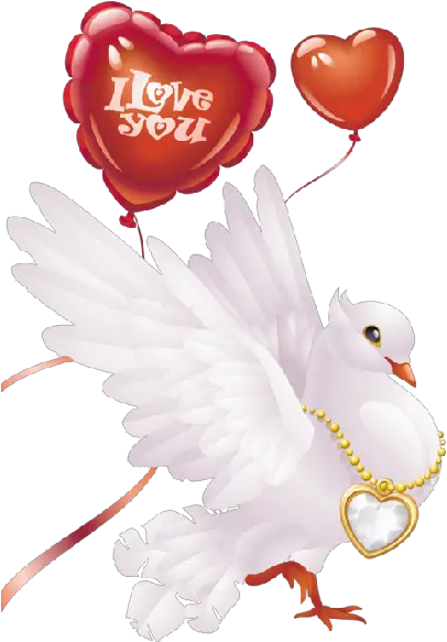 White Doves Wedding Pictures Wedding Transparent Pigeon Png White Doves Png