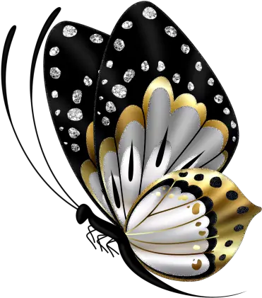 Lili Black And Gold Butterfly Black And Gold Butterfly Png Gold Butterfly Png