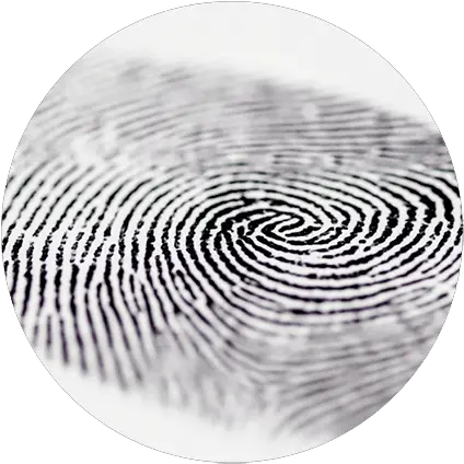 Fingerprint Technology Fingerprint And Technology Png Fingerprint Transparent