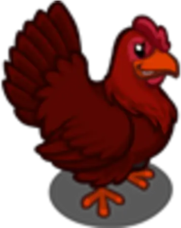 Dark Chicken Farmville Wiki Fandom Rhode Island Red Png Chicken Icon Png