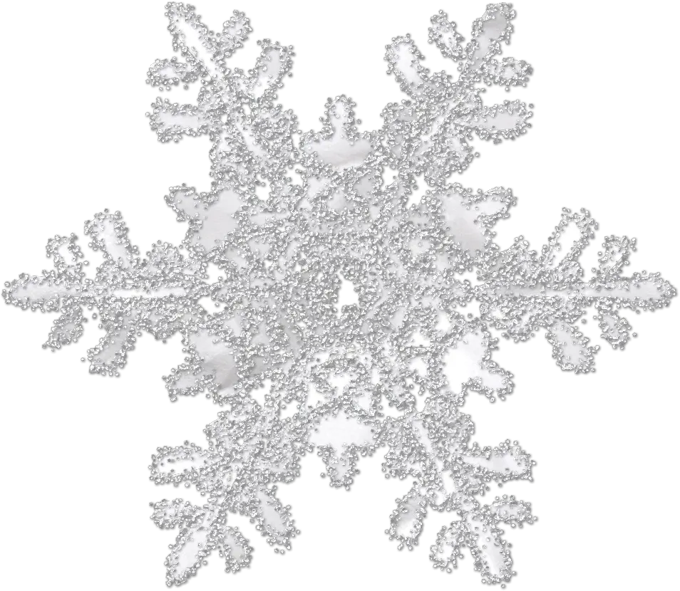 2019 Snowflake Ornament Png
