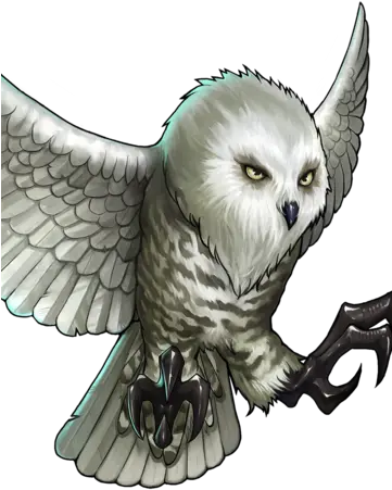 Snowy Owl Snowy Owl Png Owl Png