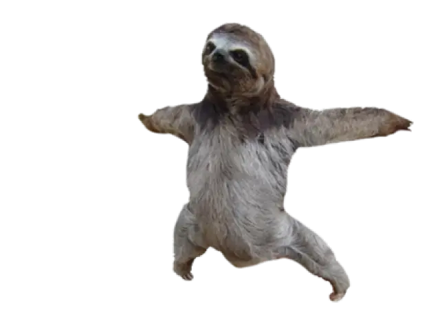 Adopt A Sloth Baby Sloths Clip Art Sloth Transparent Png Sloth Png