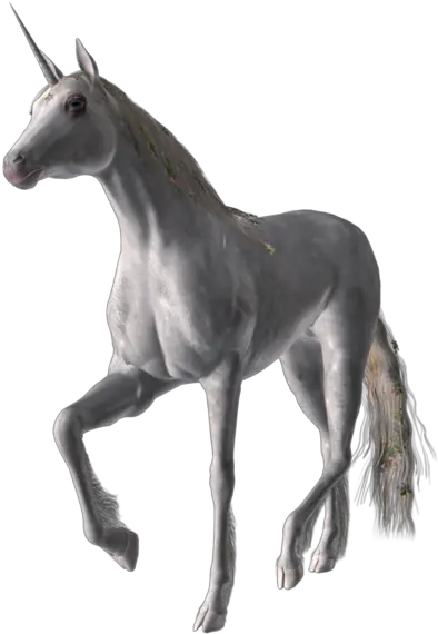 Horse Unicorn Png Official Psds Unicorn Unicorn Png Images