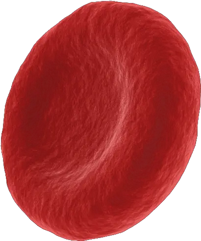 Blood Cells Png Picture 3241660 Red Cell Cells Png