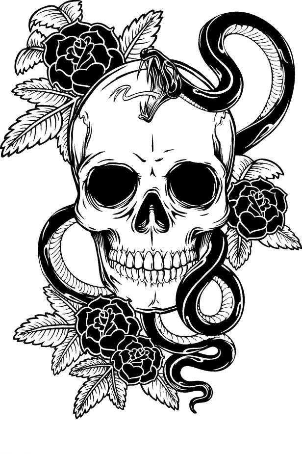 Skull Free Png