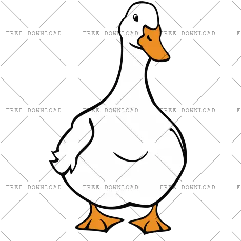 Duck Goose Swan Bird Png Image With Pekin Duck Drawing Goose Transparent