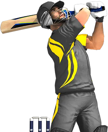 Download People Cricket Game Png Cricket Png