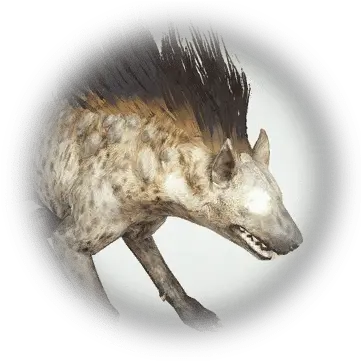 Spotted Hyena Bdo Codex Spotted Hyena Png Hyena Png