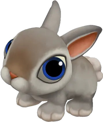 Rabbit Png Transparent Images All Rabbit Png Animation Rabbit Transparent