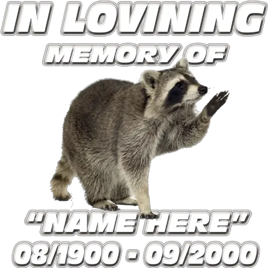 In Loving Memory Racoon Decal Procyon Png In Loving Memory Png