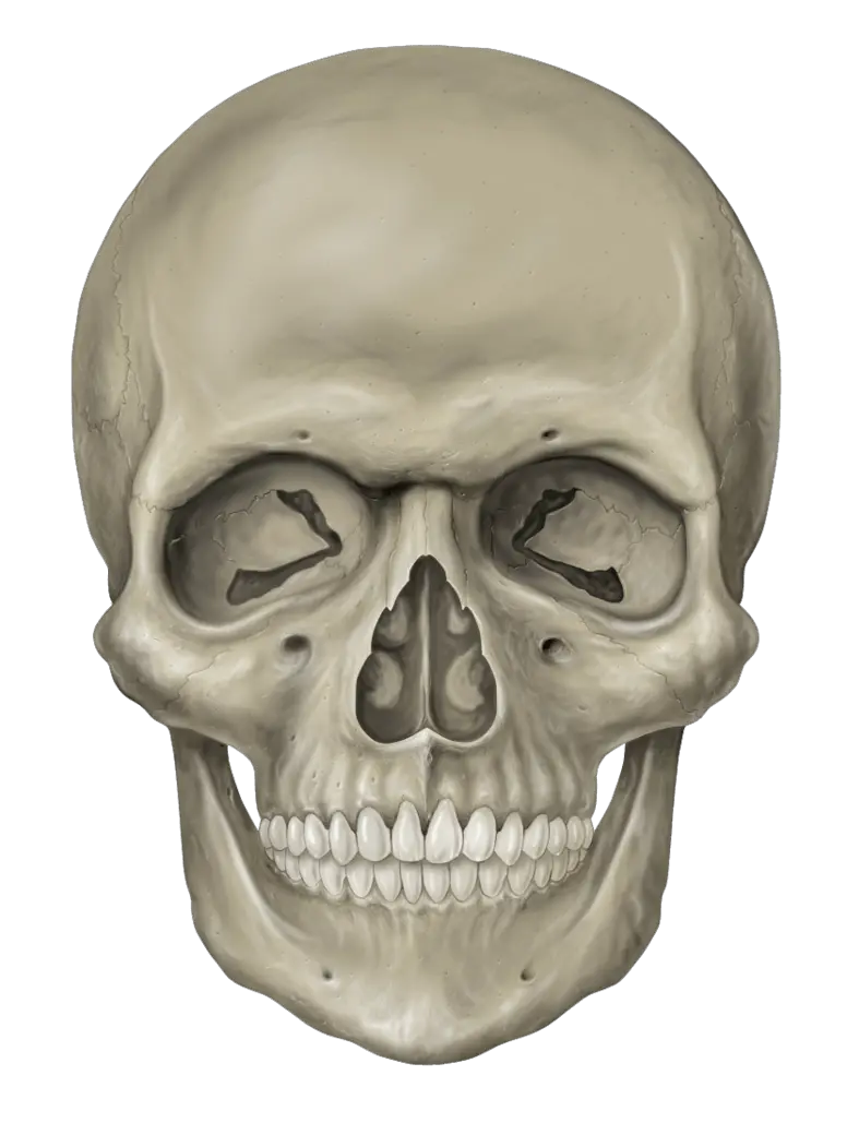 Mexican Skull Png