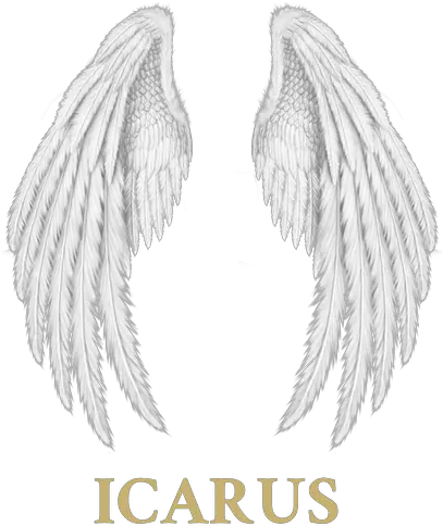 Products U2013 Icarus Solid Png Angel Icon Tumblr
