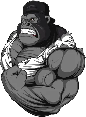 Printed Vinyl Body Builder Gym Muscle Gorilla Ape Stickers Muscular Silverback Gorilla Drawing Png Gorilla Transparent Background