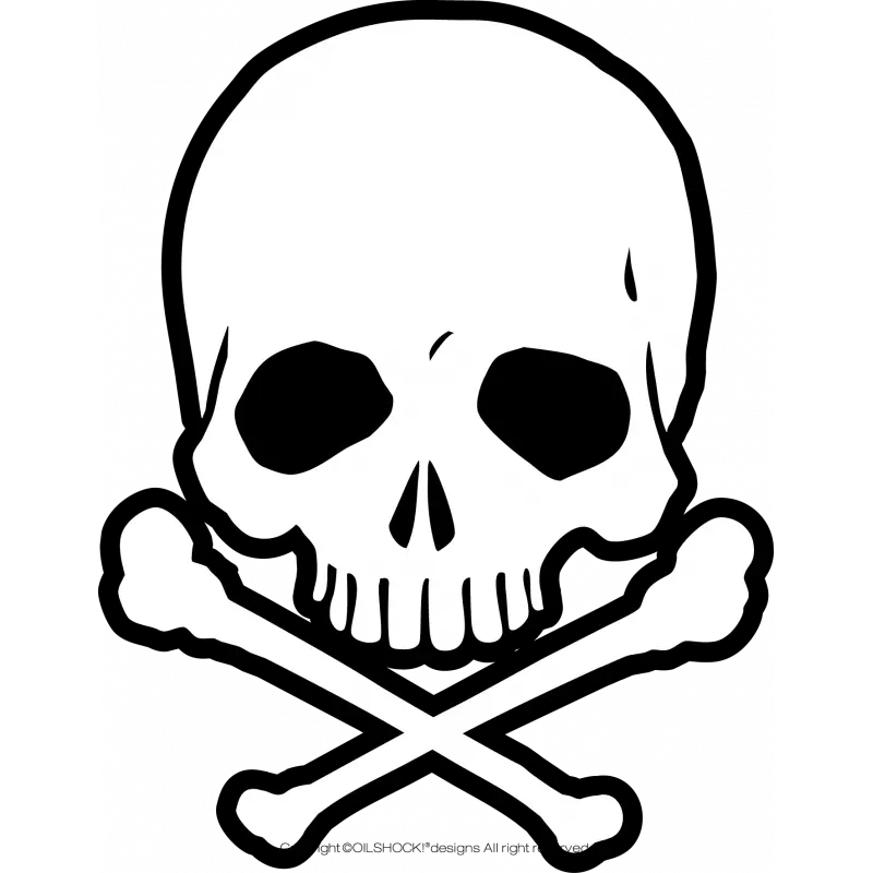 Ghost Rider Skull Png