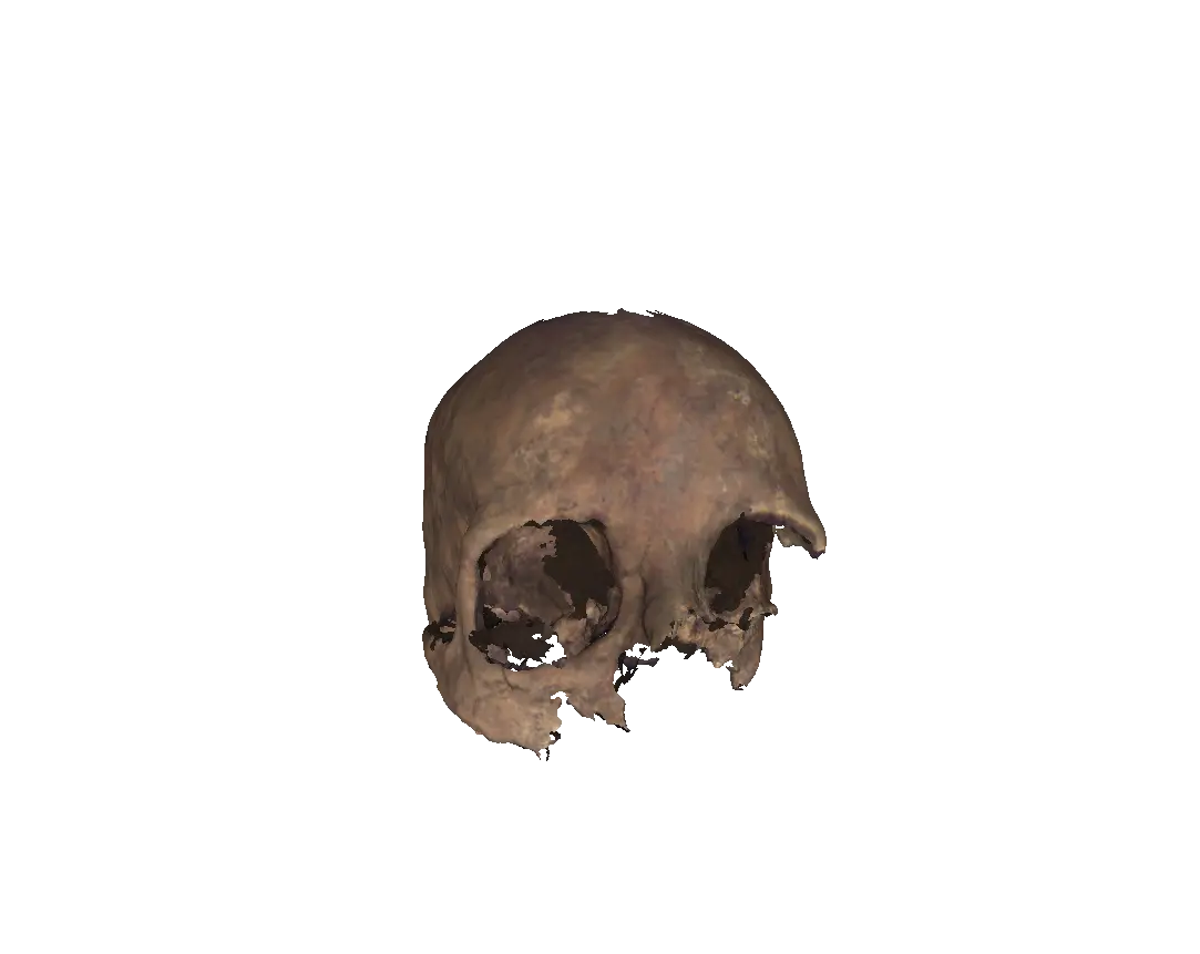 Dark Skull Png