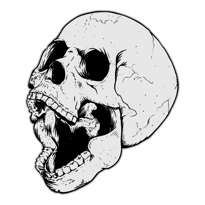 Cool Skull Png