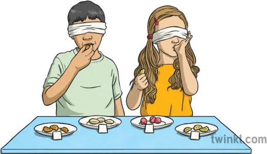 Taste Test Healthy Eating Week Food Boy Blindfolded Taste Test Foods Png Blindfold Png