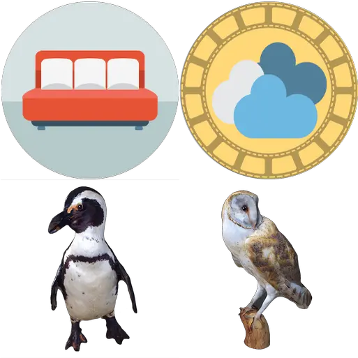 Birds Content Classconnect Penguin Png Barn Owl Icon