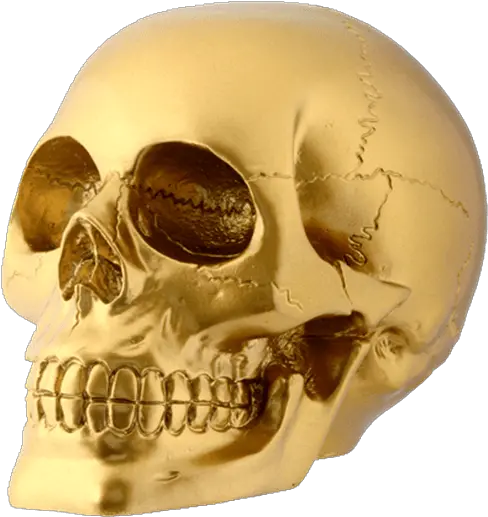 Buffalo Skull Png