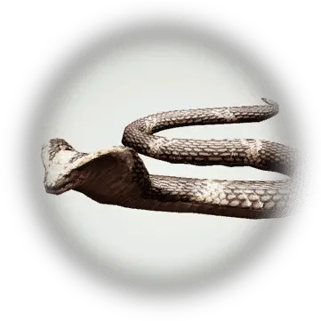 Gorgo Cobra Gorgo Cobra Bdo Png Cobra Icon