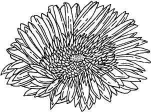 Untitled Image 2201655 On Favimcom Lovely Png Transparent Flower Drawing Tumblr