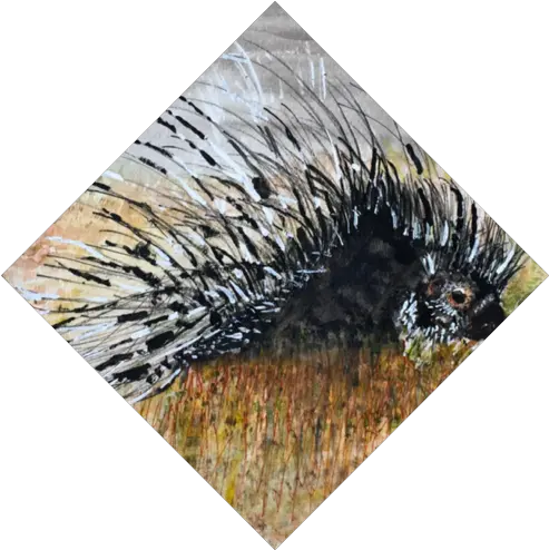 Characters Mary Alice Sutherland Grass Png Porcupine Png