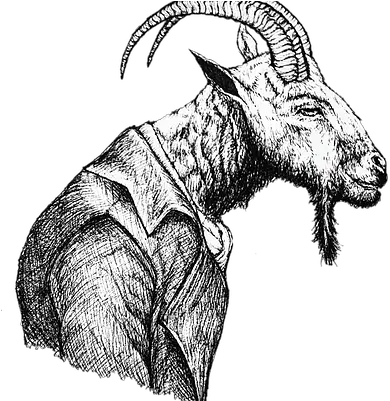 The Pushy Goat Massage Skincare Home Page Sketch Png Goat Transparent