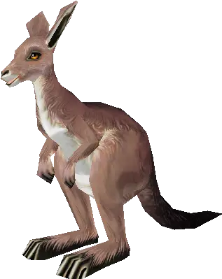 Pc Computer Eastern Grey Kangaroo Png Zoo Tycoon 2 Icon