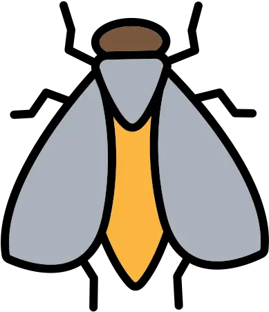 Dirty Fly Flies Insect Wings Bug Parasitism Png Flies Png