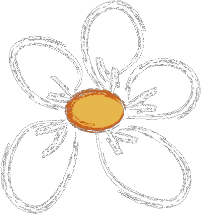 Burgundy Dot Png White Daisy Png
