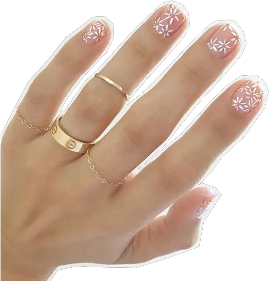 Dear Bride Floral Nail Art For A Spring Móng Tay V Hoa Cúc Png Transparent Nails