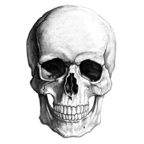 Skull Pirate Png